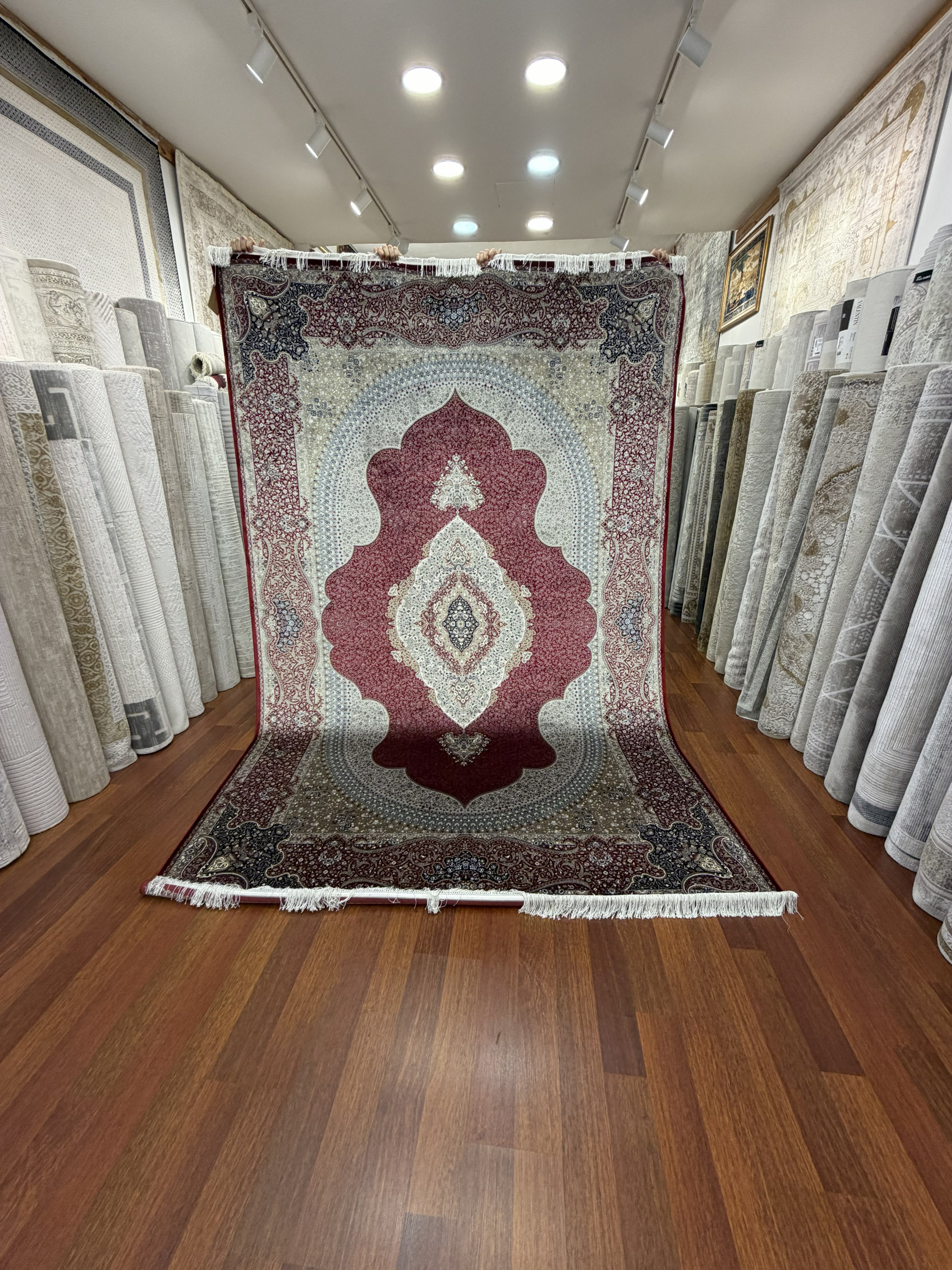 Luxury Turkish Silk Rug 7x10 Red Ivory Oriental Area Carpet Handmade Fringe New