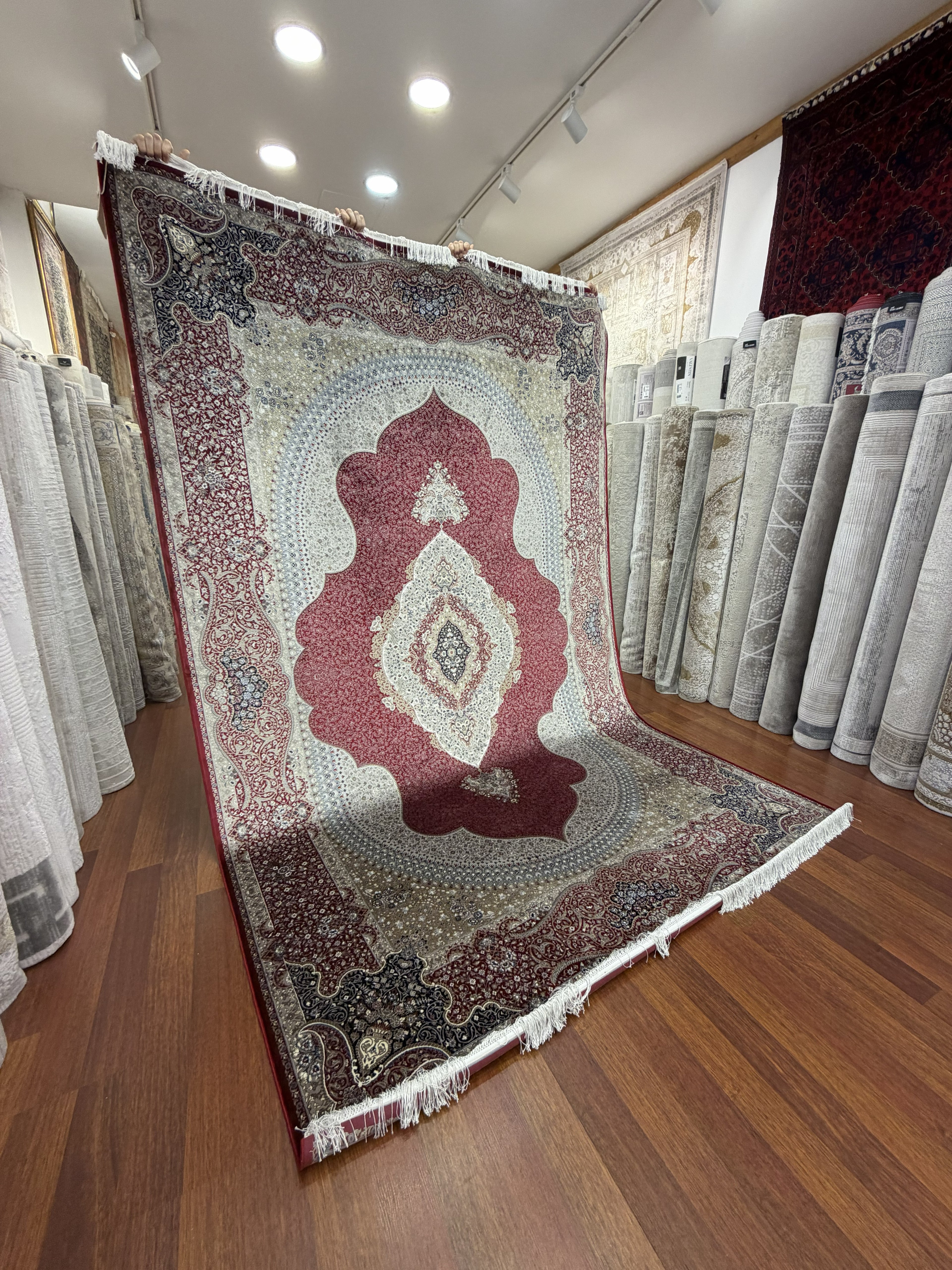 Luxury Turkish Silk Rug 7x10 Red Ivory Oriental Area Carpet Handmade Fringe New